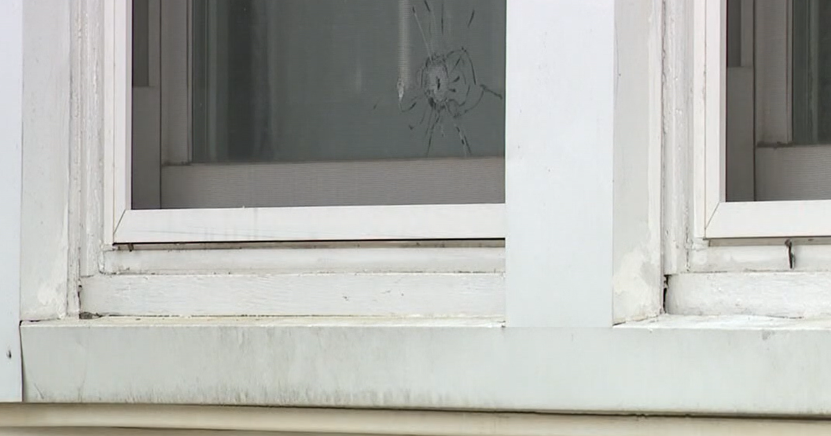 Police Fatally Shoot Man Wielding Bow and Arrow in Arbutus