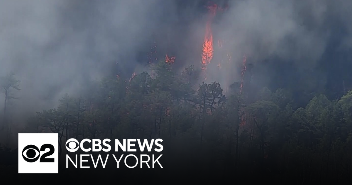 A look at the damage from the Jones Road Wildfire in N.J. - CBS New York