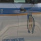 13-year-old arrested after bringing gun to Baltimore County middle school 