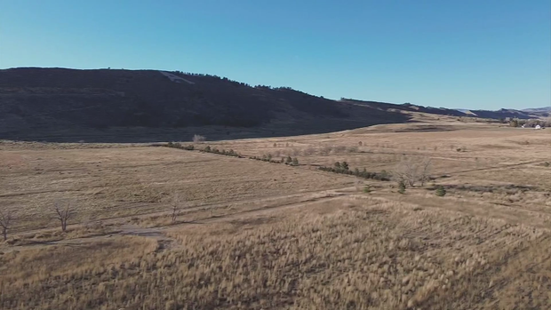 fort-collins.png 