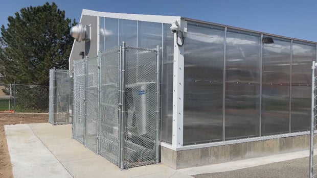 high-school-greenhouse-5pkg-frame-1677.jpg 