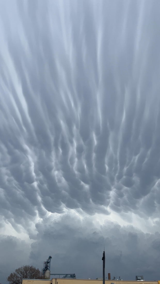 img-0755.jpg     Minnesota severe weather gallery: April 28, 2025 