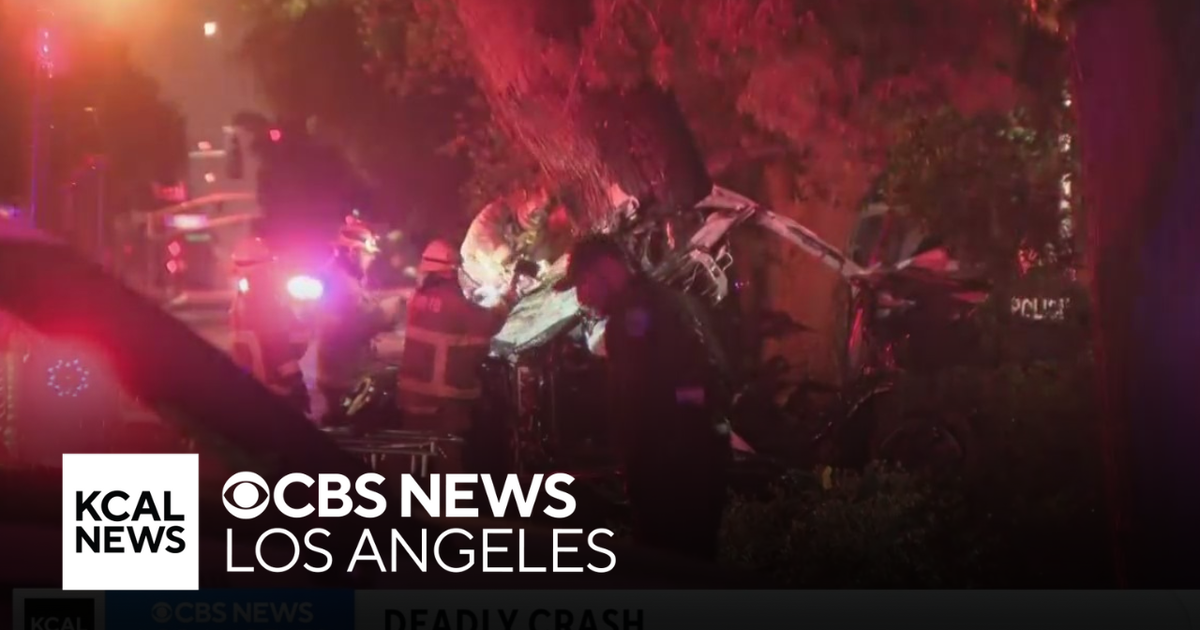 Two dead after Tesla crashes into tree, bursts into flames in Claremont ...