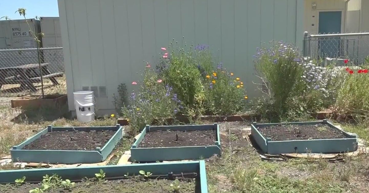Yuba-Sutter schools get investments for camous gardens from Blue Zones Project