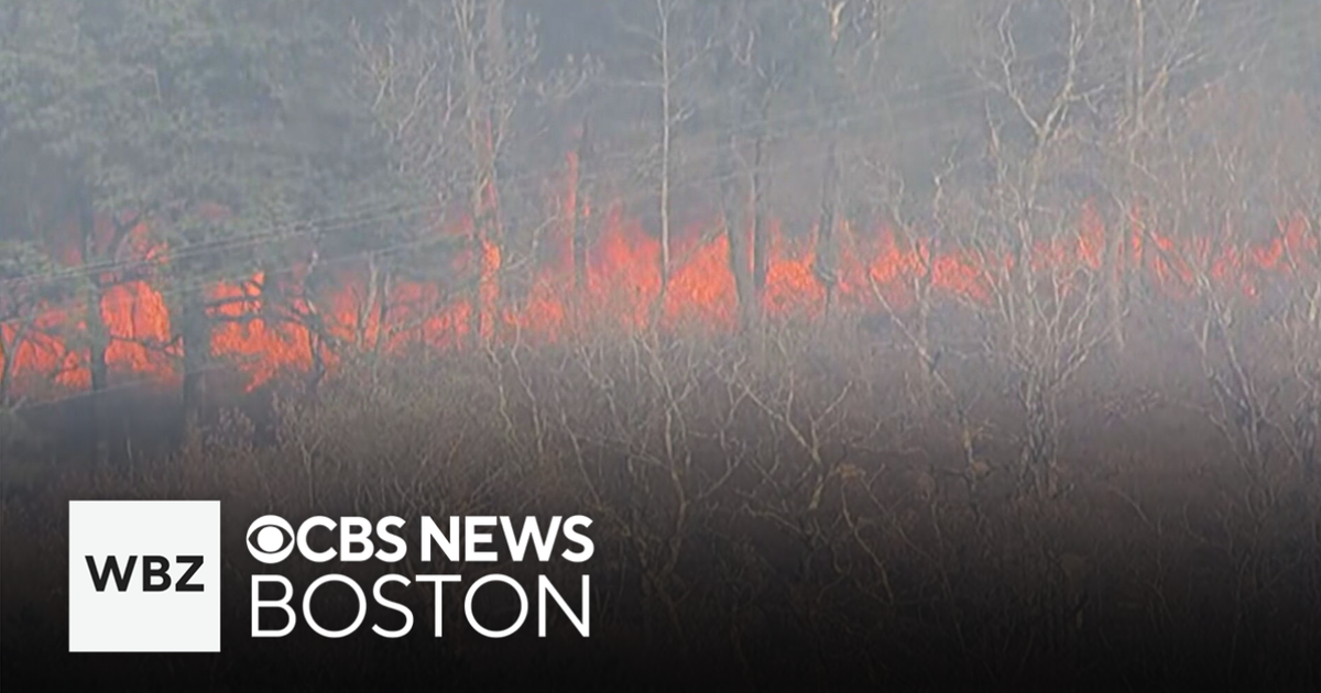 Cape Cod Brush Fire Contained After Controlled Burn