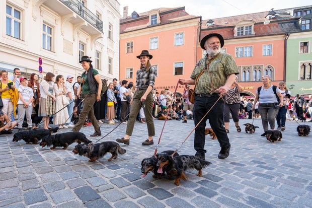 Dackelparade in Regensburg