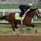 Meet the horses running in the Kentucky Derby