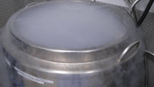 Freezing eggs 