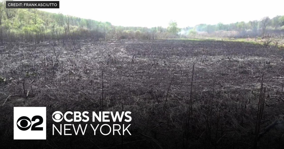 Hackettstown wildfire burns 100 acres - CBS New York