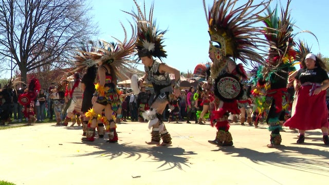 6p-pkg-cinco-de-mayo-worries-2-wcco7pj3-00-00-5428.jpg 