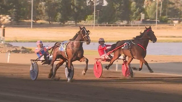 cal-expo-last-day-of-horse-racing.jpg 