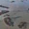 5/2: CBS Evening News Plus