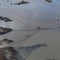 How DOGE cuts may impact response to oil spill off Louisiana