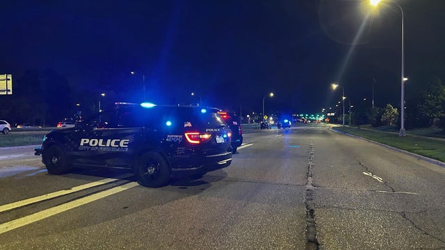 Pedestrian fatally struck by vehicle in Ferndale, Michigan 