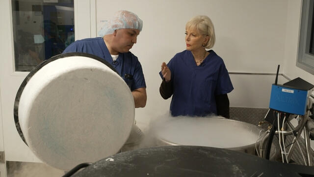 egg-freezing-video-stahl-3730320-640x360.jpg 