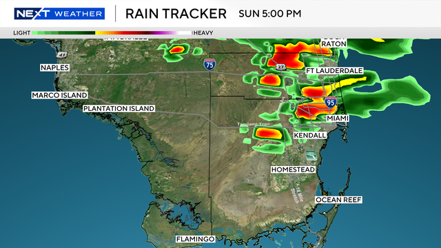 dw-future-weather.png 
