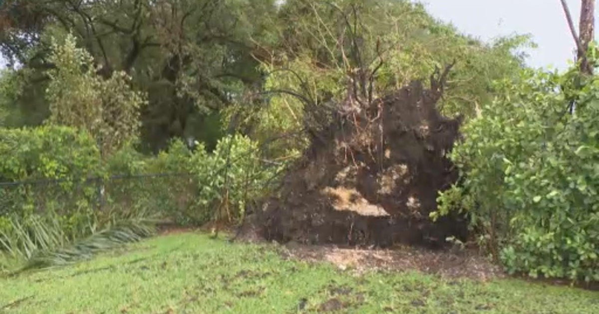Storm damage and flooding reported across South Florida as thunderstorms roll through