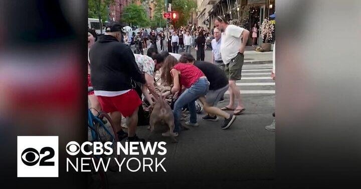 Vicious dog attack caught on camera is renewing calls for a change in ...