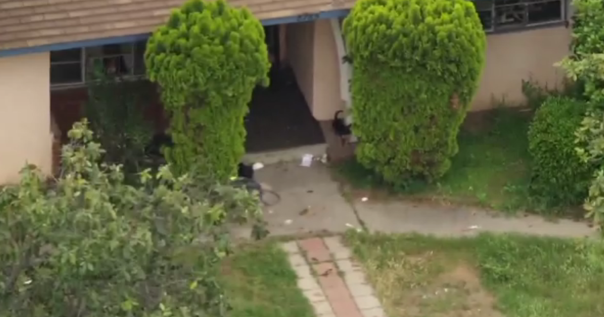 Multiple Fatal Stabbings Reported Across the U.S.