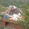 Pakistan vows retaliation after India missile strikes