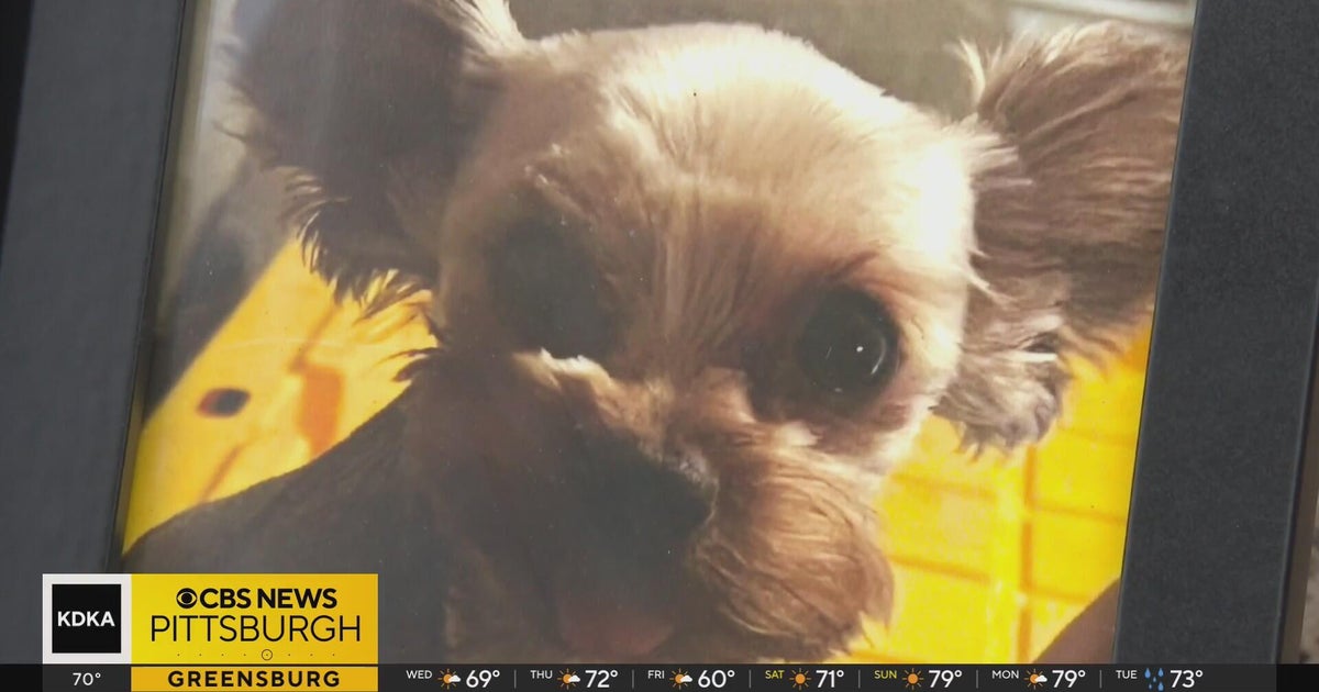 People begin to learn their pets were part of Pittsburgh funeral home case