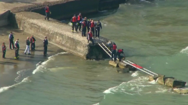 calumet-beach-dog-rescue.png 