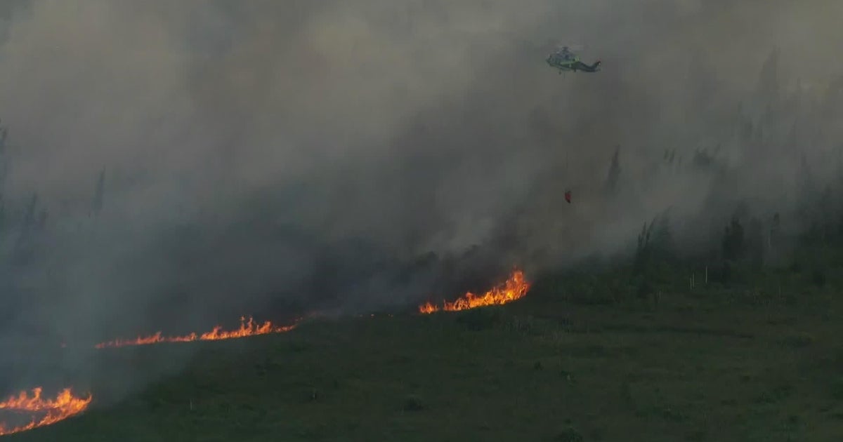 Access to Florida Keys cut off as 18-mile stretch and Card Sound Road shut down due to brush fire