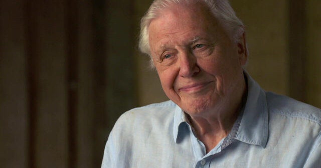 Sir David Attenborough | 60 Minutes Archive