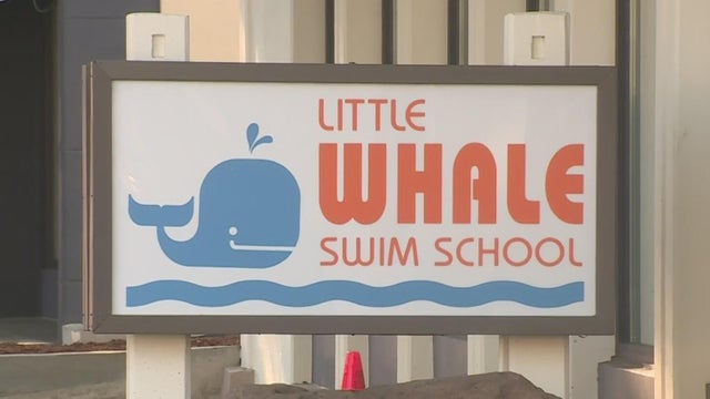 little-whale-swim-school.jpg 
