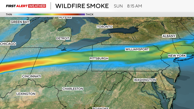 wildfire.png 
