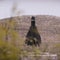 Anduril's Palmer Luckey tells 60 Minutes about his vision for the future of warfare