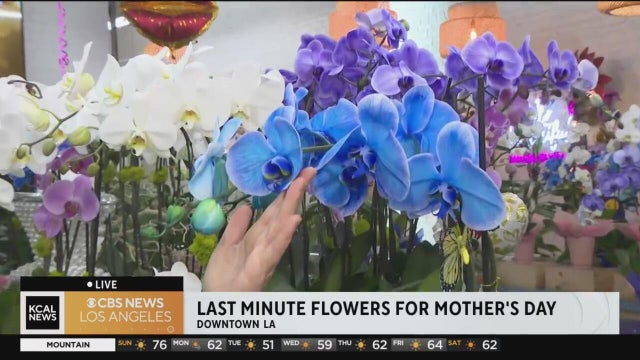 Flower district, Mother's Day weekend, Los Angeles. 