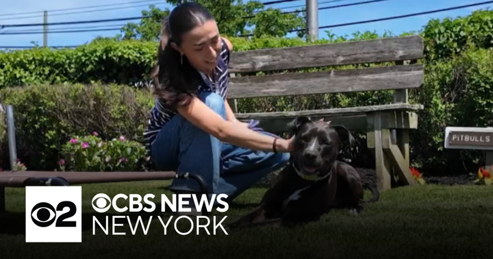 Calls come for animal abuse law reforms in Nassau County - CBS New York