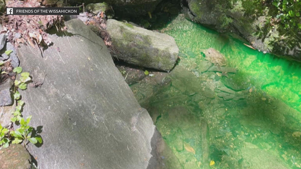 Part of the Wissahickon Creek in Philadelphia has turned green Here s