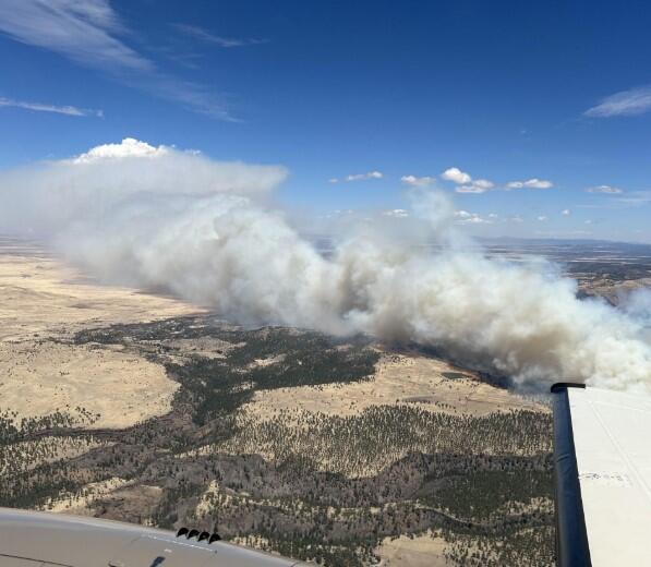 Greer Fire in eastern Arizona grows to 6,400 acres with no containment
