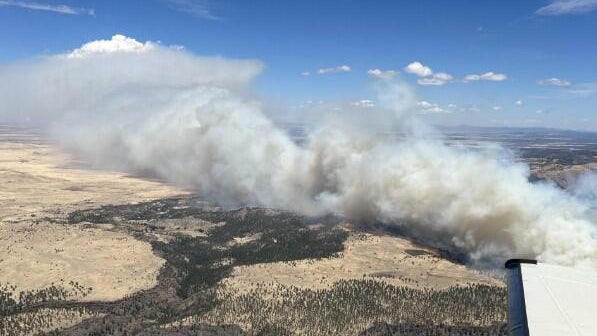 Massive Arizona Wildfire Spreads, Threatening Nearby Towns 