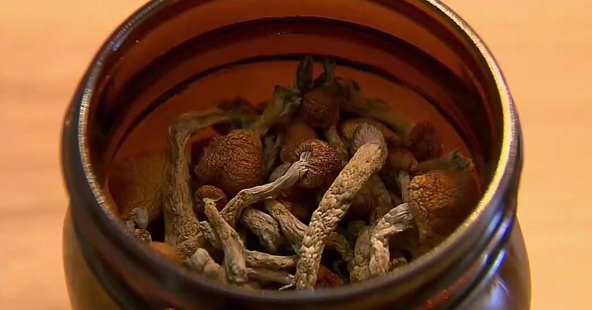 UC San Francisco’s psilocybin therapy shows promise for Parkinson’s patients UC San Francisco’s psilocybin therapy shows promise for Parkinson’s patients