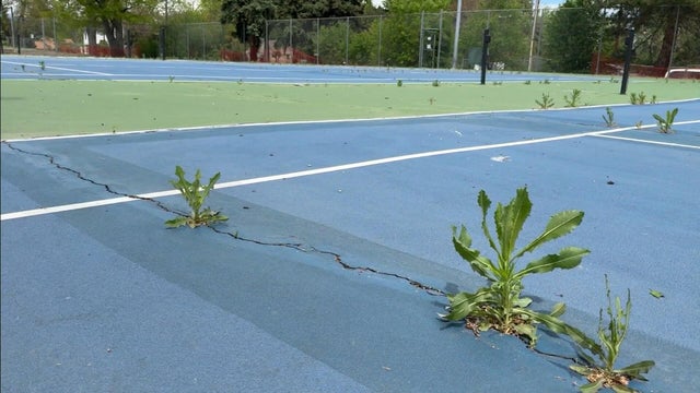 tennis-courts.jpg 