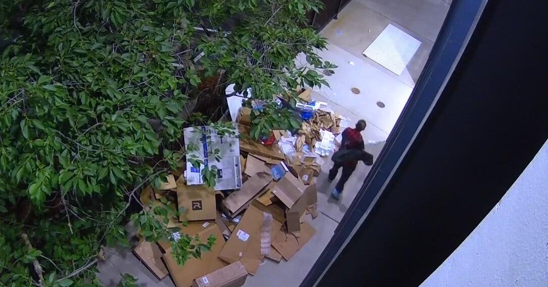 New swim school in Sacramentos Land Park vandalized on opening night, owner says