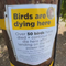 Mystery surrounds dead birds found in Northern California city