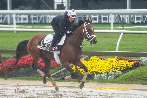 Preakness Stakes entry Journalism breezes during morning workouts at Pimlico Race Course