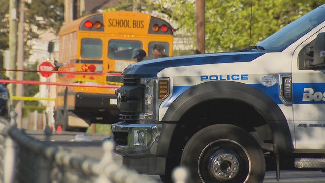 Hyde Park bus 
