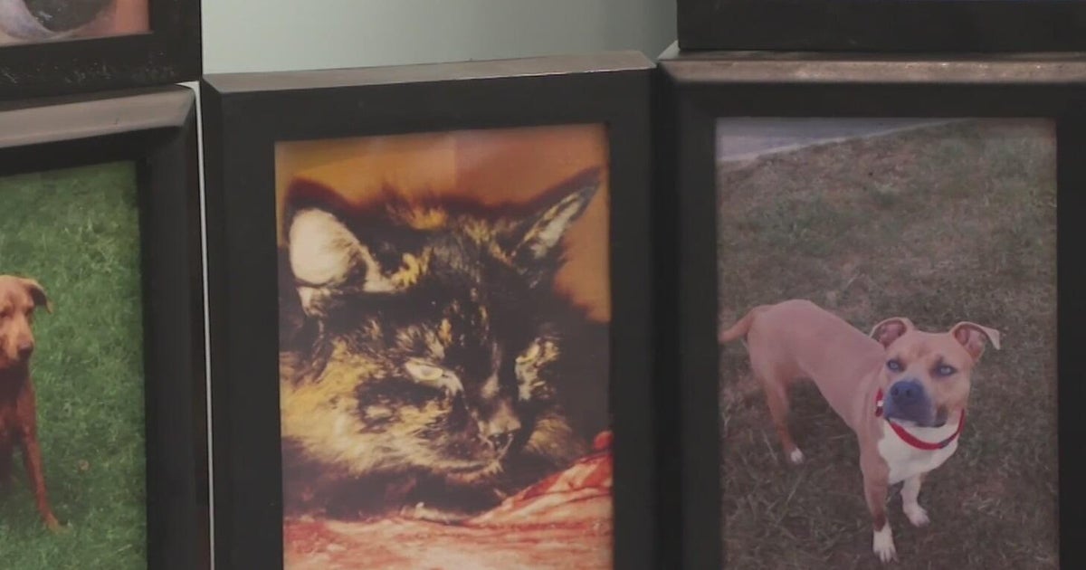 Pennsylvania lawmakers working to add regulations to pet cremation industry