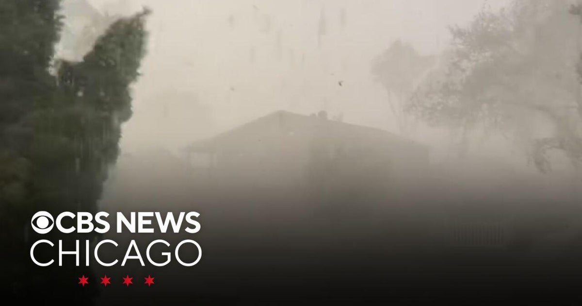 Severe storms take down trees, cut power, disrupt flights in Chicago ...