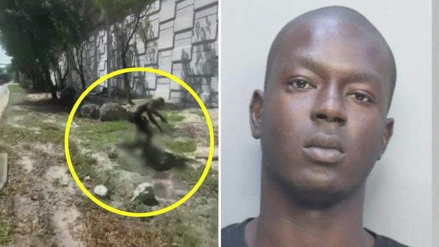 cbsmiami-stomping-kitten-suspect-1.jpg 