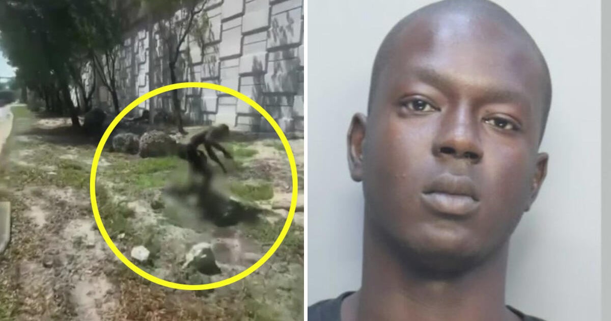North Miami man arrested after video shows him stomping on kitten ...