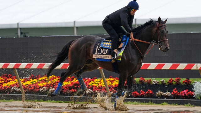 Preakness Horse Racing 
