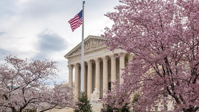 Supreme Court and Cherry Blossoms 