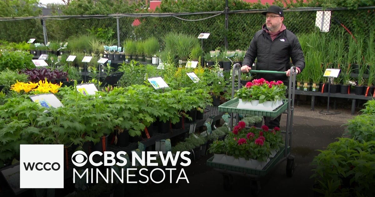 Some plants might not like our cold snap - CBS Minnesota