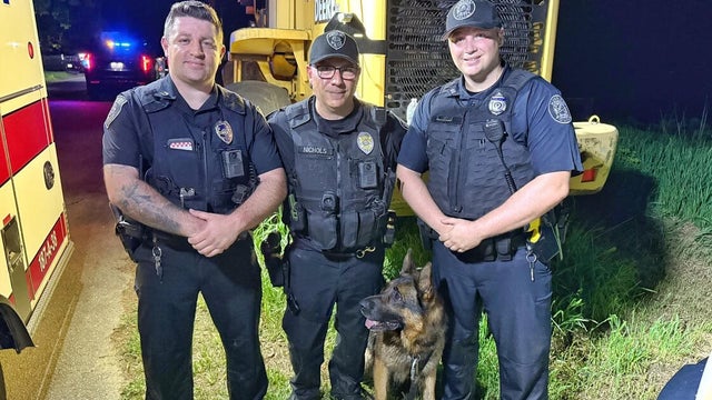 police-k9-swamp.jpg 